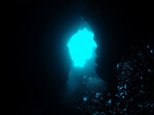 神秘的な青の洞窟で遊びましょう！！
