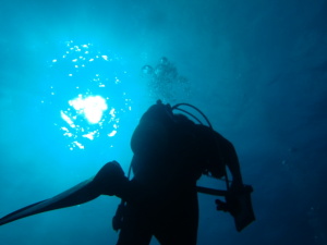 青洞潛水的照片