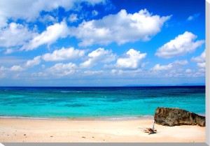 沖縄の自然